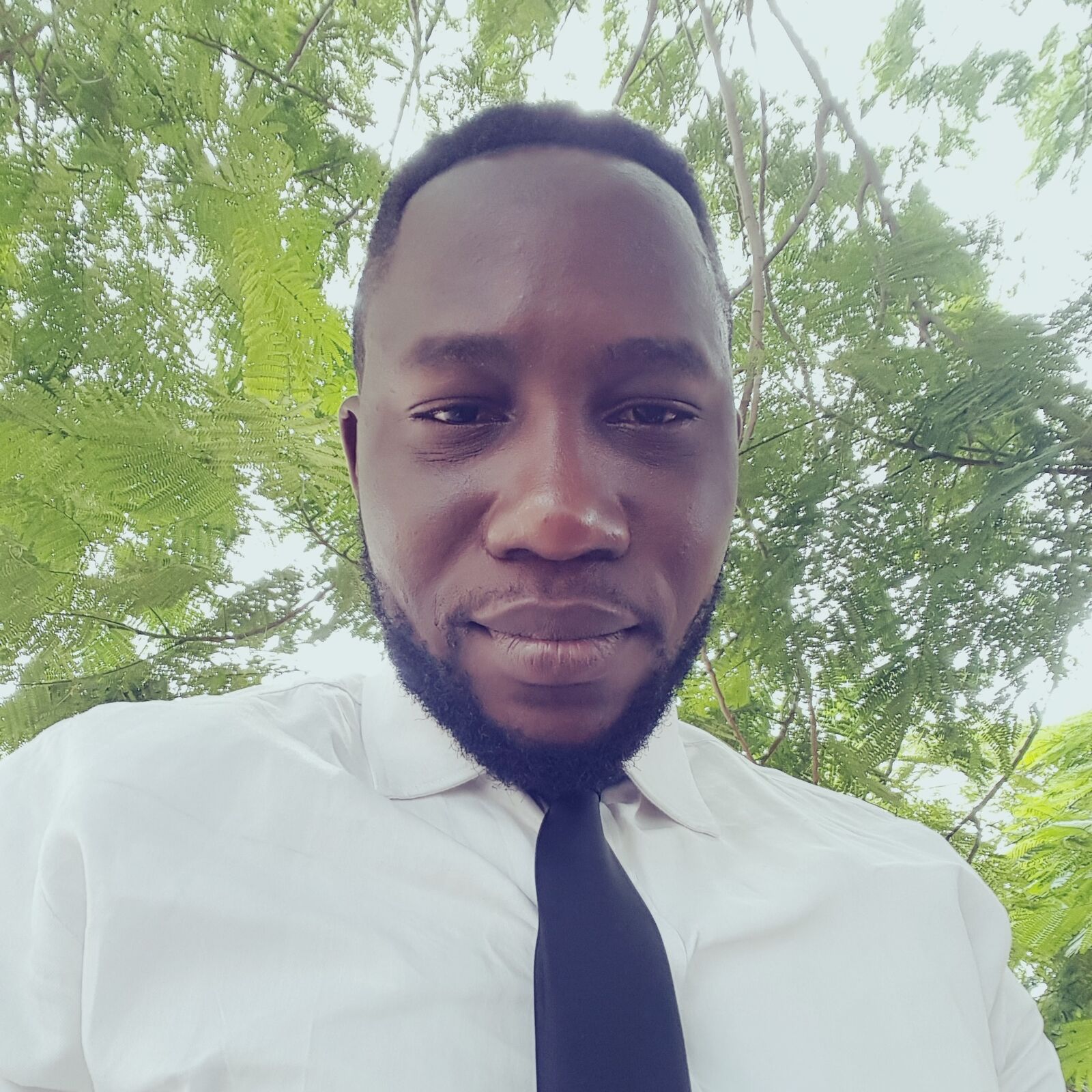 Seyi, IELTS & English Tutor on Tuteria